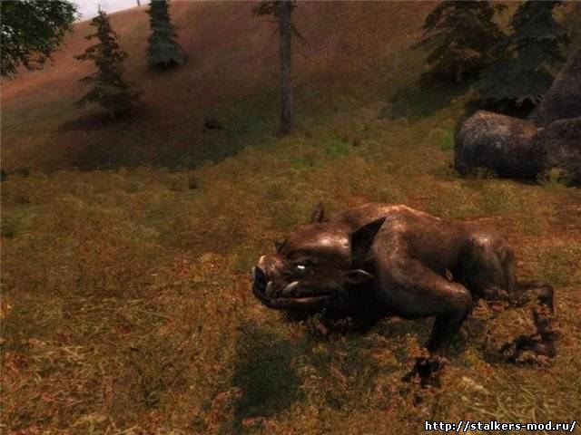 Boar Play Mod